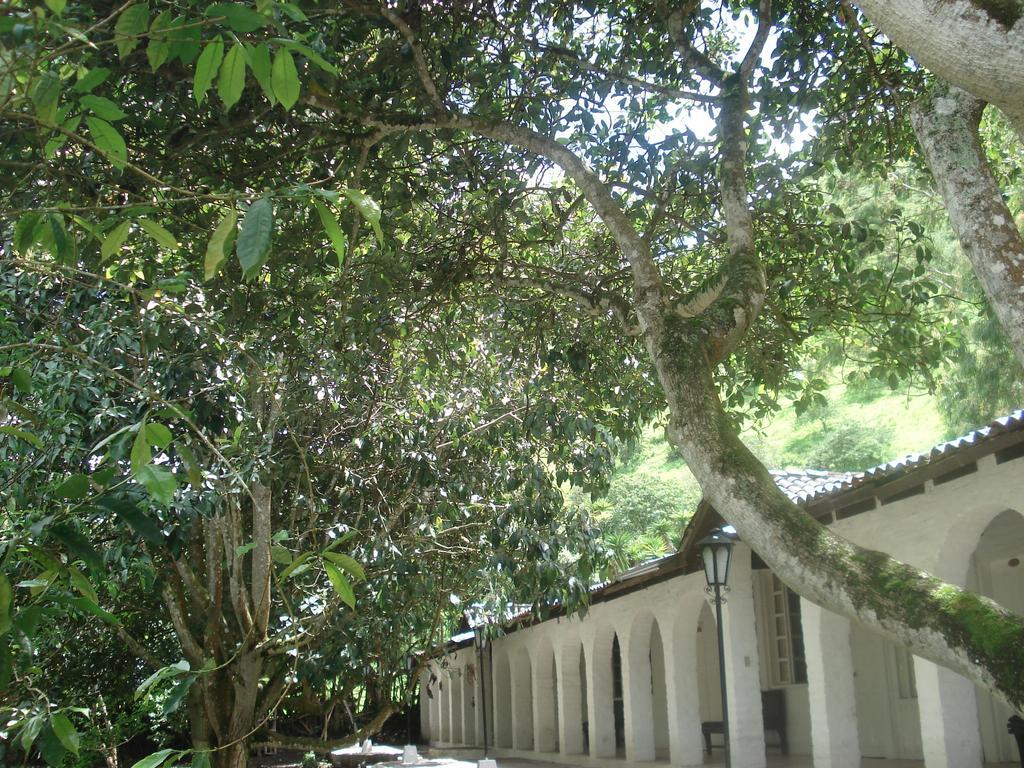 Hosteria La Eterna Primavera Huigra ภายนอก รูปภาพ